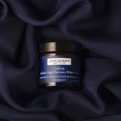 Gel Crème de Nuit Réparateur aux Probiotiques 60ML